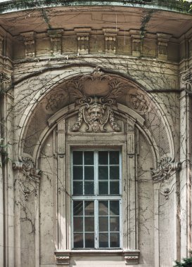 Tarihi bir binanın pencereleri, güzel sarmaşıklar, eski bir binanın duvarları.