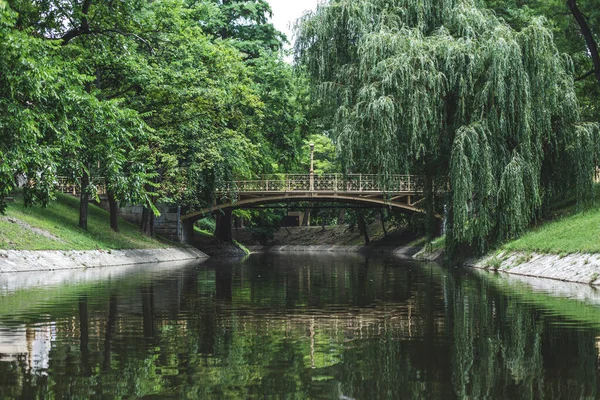 Brücke Über Den Fluss Zwischen Bäumen Konzept Spaziergang Der Frischen — Stockfoto