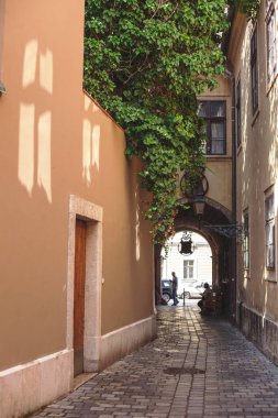 Avrupa 'nın eski güzel şehrinin sokaklarında dolaş.