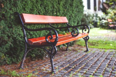 Parkta siyah demir tırabzanlı kahverengi bir bank duruyor. yumuşak arkaplan