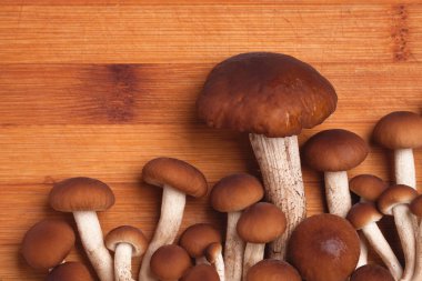 Lezzetli yemekler pişirmek için taze bal mantarı malzemeleri.