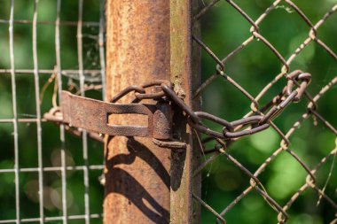 Ağlı eski demir paslı çit. yeşil arkaplan