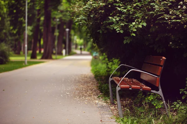 Banc Brun Avec Des Mains Courantes Fer Noir Dresse Dans — Photo