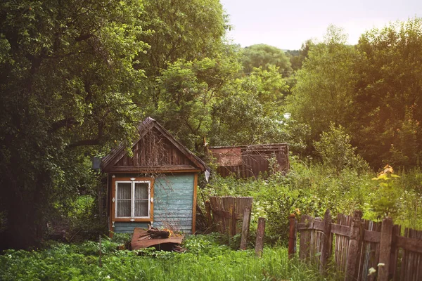 Egy Kis Falusi Ház Vadonban Erdő Csendes Hely Erdőben — Stock Fotó