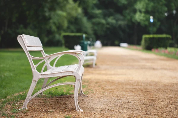 Banc Blanc Dresse Dans Parc Fond Doux — Photo