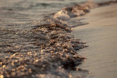 Deniz dalgası ve kumlu sahil. Gün batımı. güzel doğal arkaplan