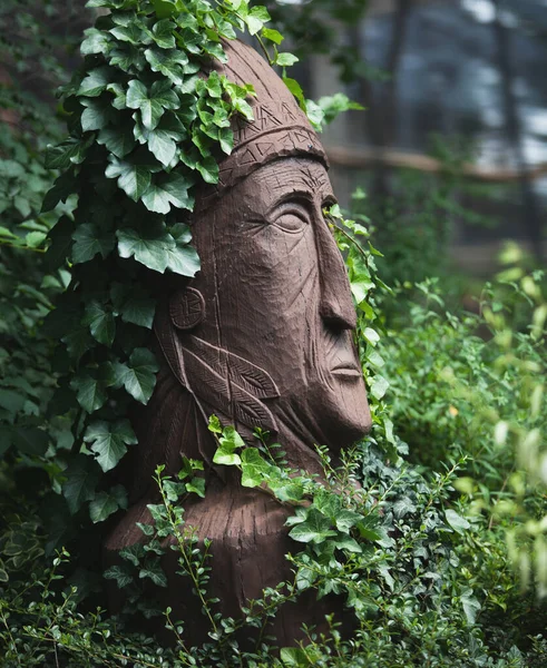 Hiedra Envuelta Alrededor Una Escultura Madera Indio Monumento Antiguo Recorrido — Foto de Stock