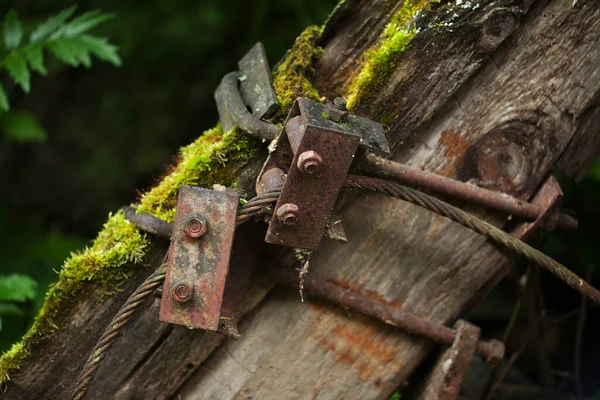 Rostige Metallgegenstände Gestelle Kabel Wald Verschmutzung Der Natur — Stockfoto