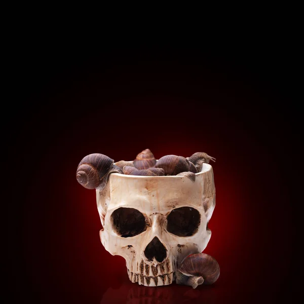 カタツムリで満たされた人間の頭蓋骨の大きなボウル ハロウィンカクテル — ストック写真