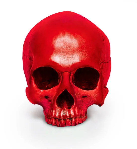 Cráneo Humano Color Aislado Sobre Fondo Blanco — Foto de Stock