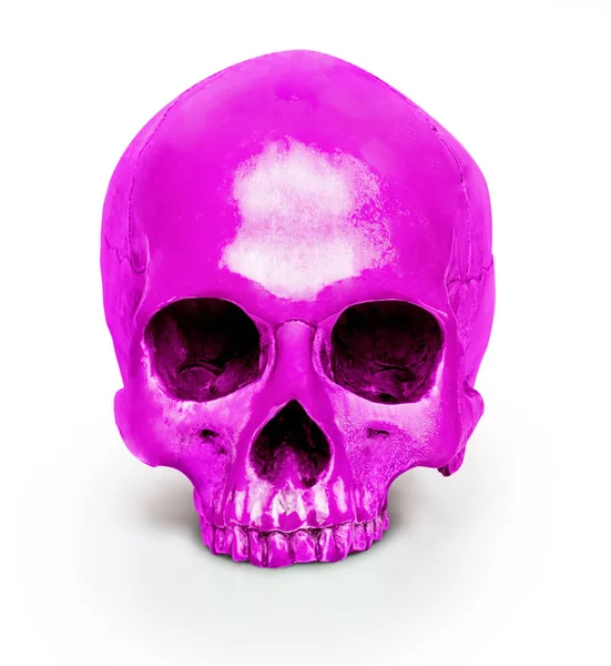 Cráneo Humano Color Aislado Sobre Fondo Blanco — Foto de Stock