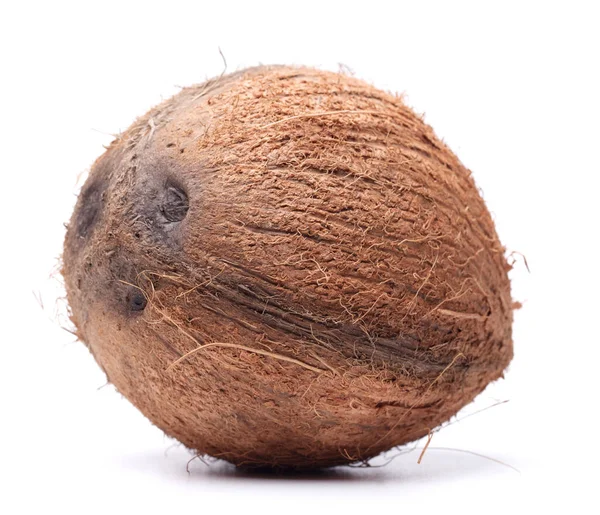 Grote Kokosnoot Geïsoleerd Een Witte Achtergrond — Stockfoto