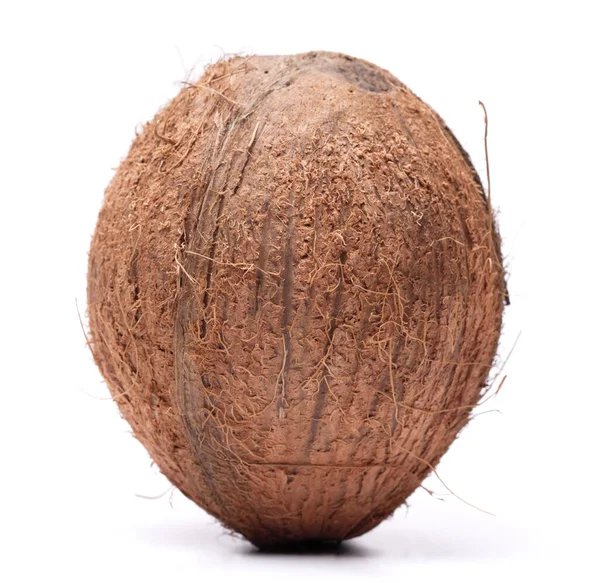 Big Coconut Isolated White Background — Stock Photo, Image