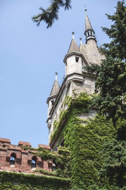 Güneşli bir öğleden sonra Budapeşte 'de bir yürüyüş, güzel eski bir ev