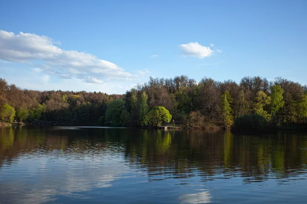 Bellissimo Parco Con Alberi Lago Luogo Una Tranquilla Passeggiata Una — Foto Stock