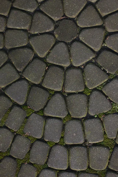 Textur Asfaltläggare Och Sten Vackert Mönster Från Markbeläggning — Stockfoto