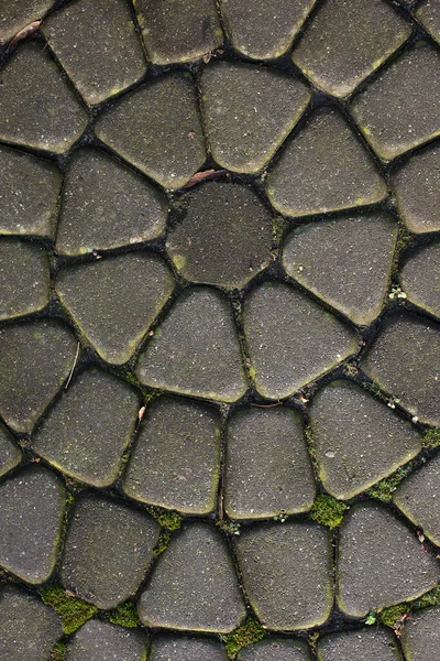 Textura Adoquines Piedra Hermoso Patrón Pavimentación —  Fotos de Stock