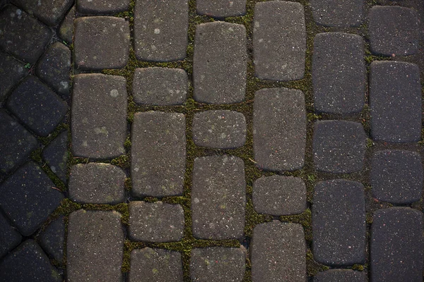 Textura Adoquines Piedra Hermoso Patrón Pavimentación — Foto de Stock