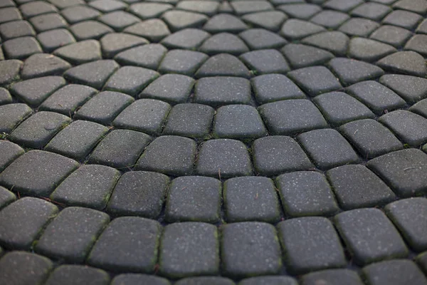Textura Pavers Pedra Belo Padrão Pavimentação — Fotografia de Stock