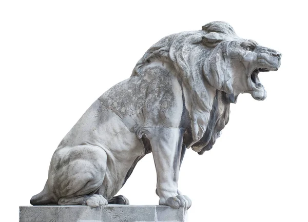 観光の歴史的な中心 ハンガリー ブダペスト 大きな石のライオンが口を開けて — ストック写真
