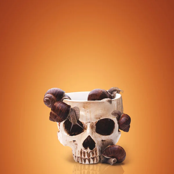 Uma Grande Tigela Crânio Humano Cheio Caracóis Cocktail Halloween — Fotografia de Stock