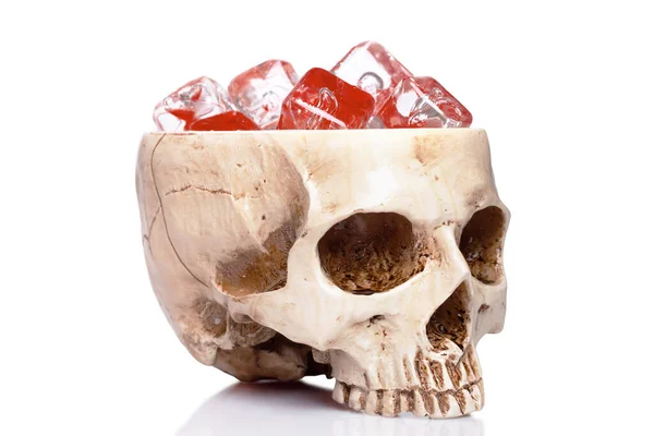 白地に隔離された人間の頭蓋骨のカップ — ストック写真
