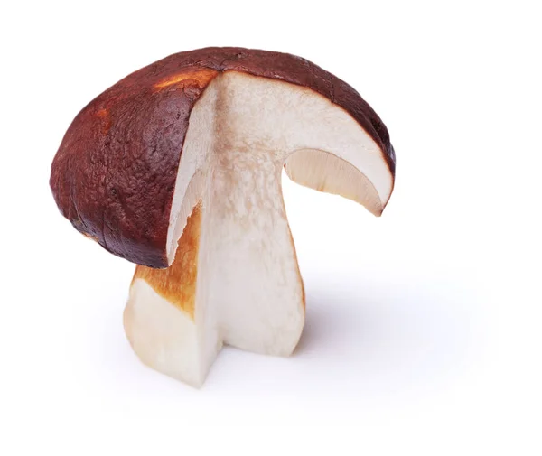 Mushroom Cut Middle Isolated White Background — Stock Photo, Image