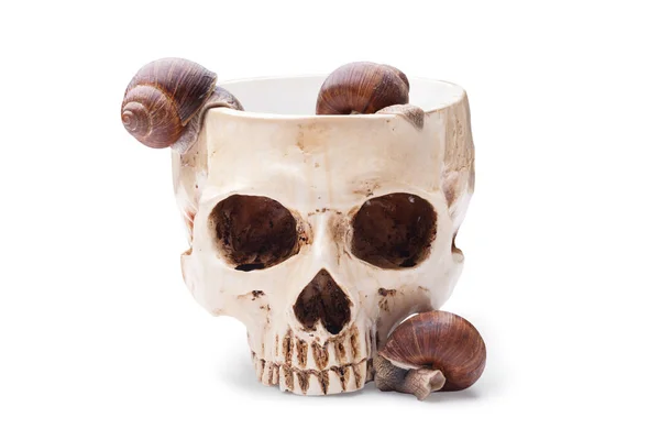 Large Bowl Human Skull Filled Snails Halloween Cocktail Stock Photo
