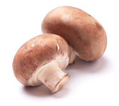 Beyaz arka planda izole edilmiş taze mantar şampiyonu.