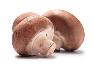 Beyaz arka planda izole edilmiş taze mantar şampiyonu.