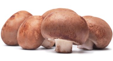 Beyaz arka planda izole edilmiş taze mantar şampiyonu.