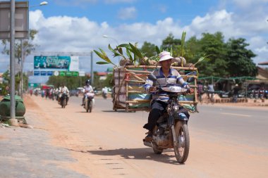 Adam motosikletle hindistan cevizi taşıyor.