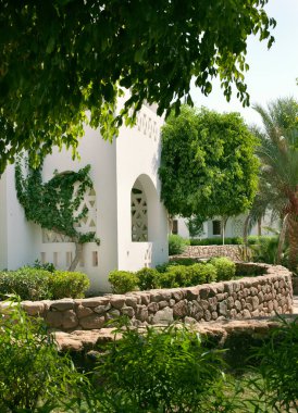 Yeşil palmiye ağaçlarıyla çevrili ev manzarası