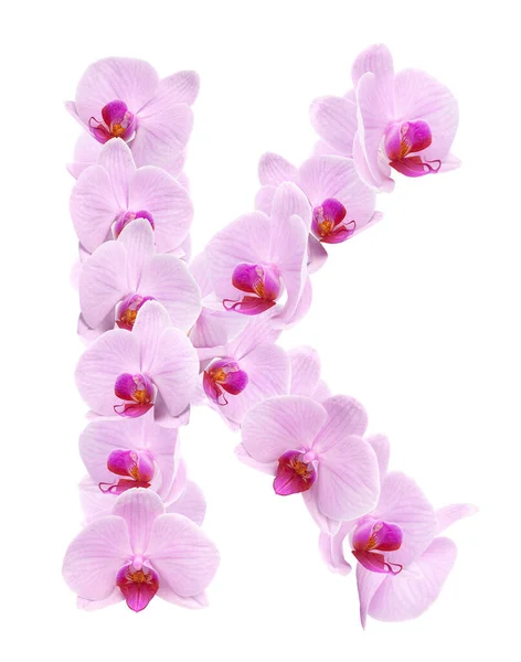 Lettera Fiori Orchidea Isolato Bianco — Foto Stock