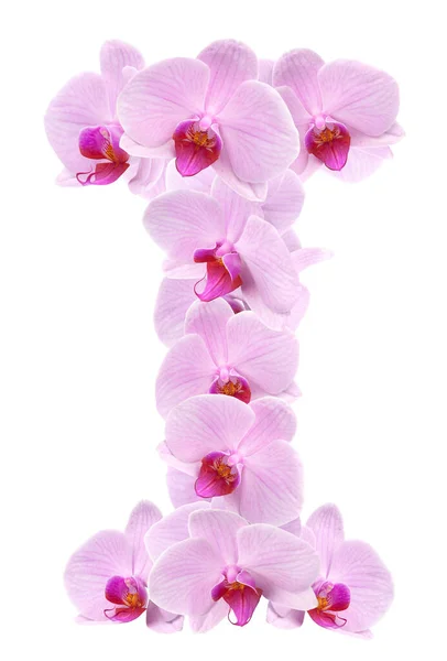 Letter Orchid Flowers Isolated White — Stock Photo, Image