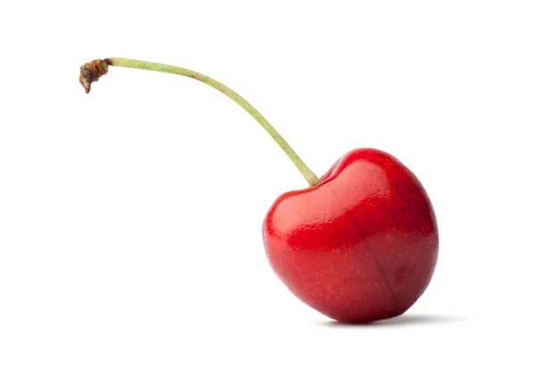 Single Cherry Berry Isolated White Backgroun — Stock Photo, Image