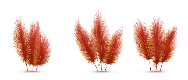 Ensemble Belles Plumes Festives Isolées Sur Fond Blanc — Image vectorielle