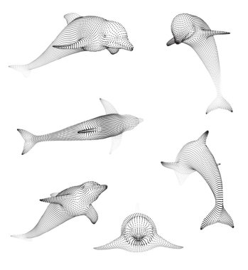 3 boyutlu vektör ayarlandı. Okyanus koruması. yunus