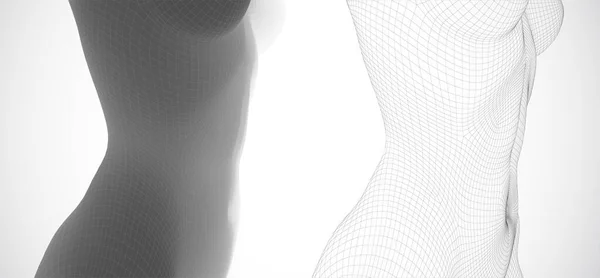 Cuerpo Femenino Tridimensional Polígonos Cuadrados Estilo Blanco Negro — Vector de stock