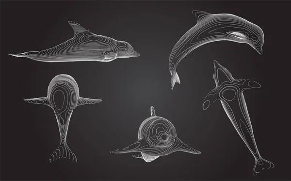3次元ベクトルセット 海の保護 イルカ — ストックベクタ