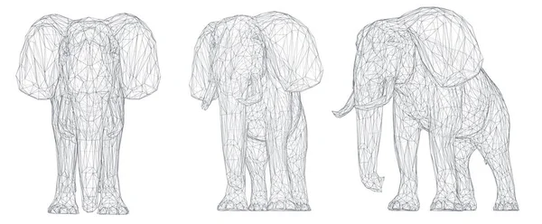 Elefante Vector Set Para Diseño — Archivo Imágenes Vectoriales