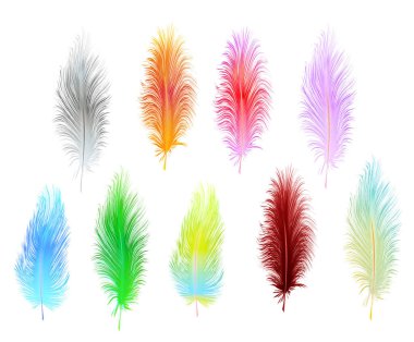 Beyaz arkaplanda izole edilmiş çok renkli vektör tüyleri kümesi
