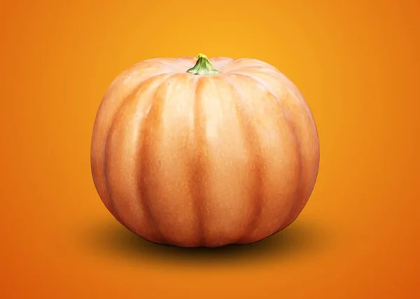 Festive Pumpkin Stands Background — Stock Vector