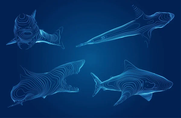 3次元ベクトルセット 海の保護 偉大な白いサメ — ストックベクタ