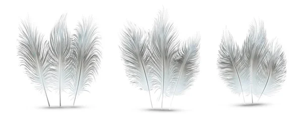 Ensemble Belles Plumes Festives Isolées Sur Fond Blanc — Image vectorielle