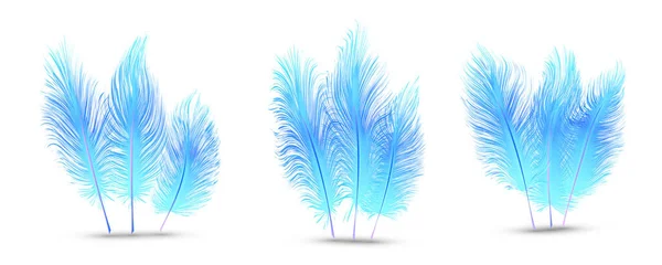 Ensemble Belles Plumes Festives Isolées Sur Fond Blanc — Image vectorielle