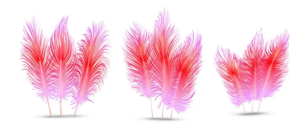 Set Beautiful Festive Feathers Isolated White Background — Stock Vector
