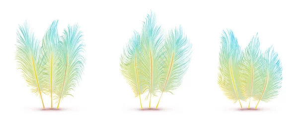 Ensemble Belles Plumes Festives Isolées Sur Fond Blanc — Image vectorielle