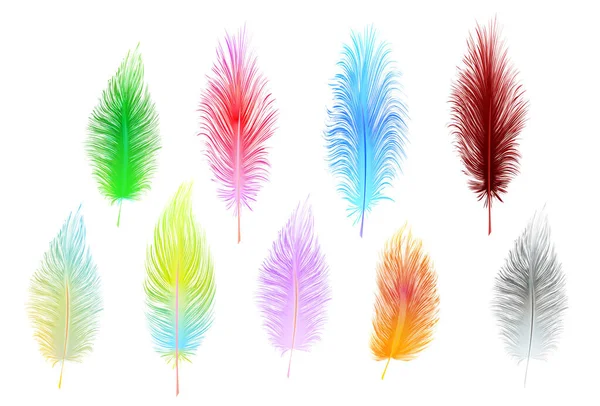 Set Multi Colored Vector Feathers Isolated White Background — Stock Vector