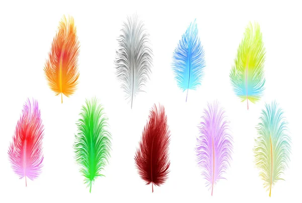 Conjunto Plumas Vectoriales Multicolores Aisladas Sobre Fondo Blanco — Vector de stock